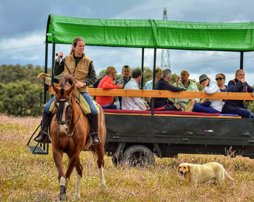 ganaderia de reses bravas